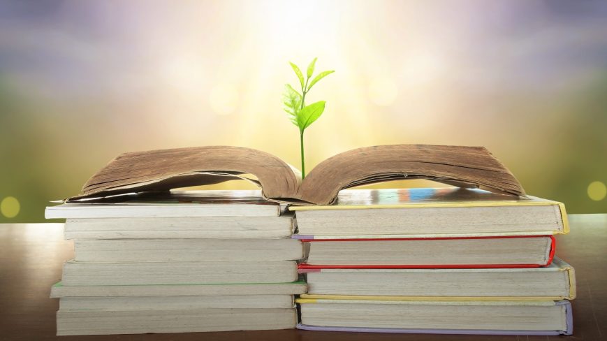 Sustainable Business Leadership Starts With Education.